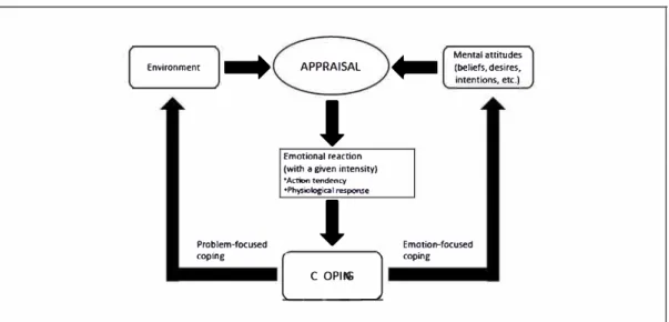 Figure 4:  Appraisal and coping cycle 