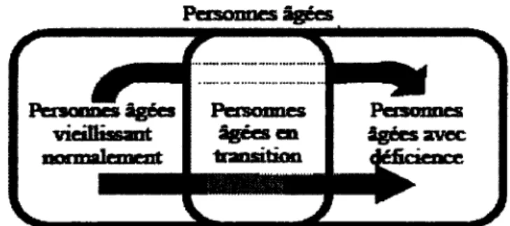 Figure 1.1: Portrait du type de transition a laquelle est sujette la  majorit6 des aines