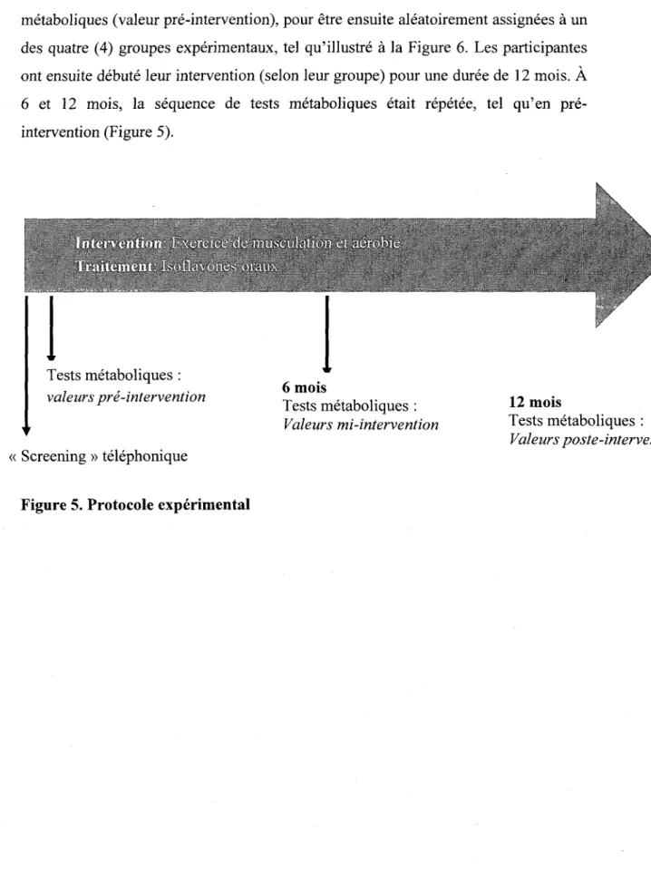 Figure 5. Protocole experimental 