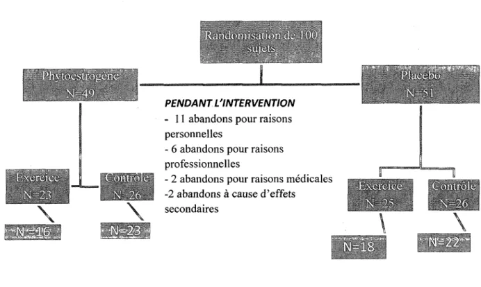 Figure 6. Devis de i'etude maitresse 