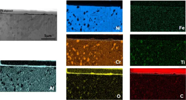 Fig. 7. Optical macrophotographs of the alloys (a) SPS FeNiCr after 6071 h of exposure at HP and (b) SPS FeNiCr + Cu after 7966 h of exposure at HP.