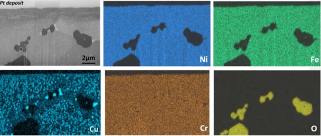 Fig. 9. SEM (SE) micrograph of the FIB cross-section and its associated elementary maps of the SPS FeNiCr + Cu alloy after 7966 h of exposure at HP.