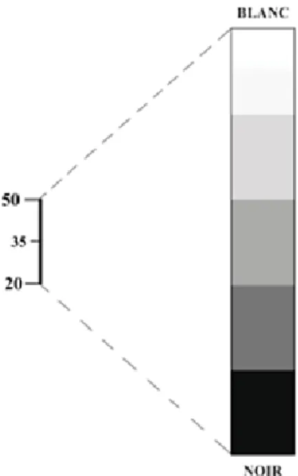 Figure 4: Exemple d'une fenêtre de nuances de gris.