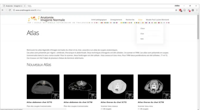Figure 1 : Aperçu du site internet du service d’Anatomie-Imagerie de l’ENVT 