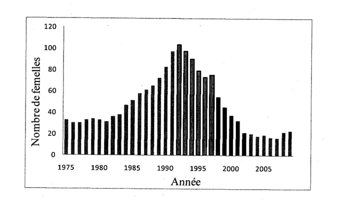 Figure 3. Nombre total de femelles mouflons agees de 2 ans et plus a Ram Mountain, Alberta,  entre 1975 et 2009, les barres encadrees en noir representant les annees de densite-dependance  et les barres noires, les annees de forte predation par le couguar