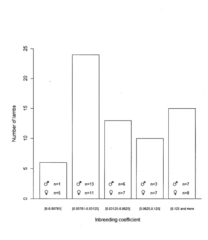 Figure 4. Distribution of inbreeding coefficients greater than 0 for bighorn lambs with at least  one known grandparent on Ram Mountain, Alberta, 1988 to 2008
