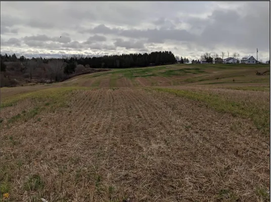 Figure 2.2:  Vue vers le sud du glissement de terrain entre la rivière Chacoura et  la route 349