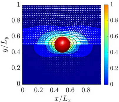 Figure 2.18: Velocity field and contours of u/u p when t = 0 + 2kπ/ω (top half: δ 2 = 0.25, and bottom half: δ 2 = 4.0 where δ stands for dimensionless Stokes layer) around an oscillatory particle.