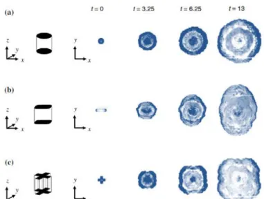 Figure 2.6:  Evolution temporelle de la forme en vue de dessous d’un courant de gravité  expérimental de section horizontale initialement (a) circulaire, (b) de type rectangle arrondi et 