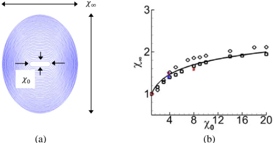 Figure 2.8:  (a) Exemple de courant de gravité de section horizontale initialement de type rectangle  arrondi, obtenu avec le modèle de boîte étendue