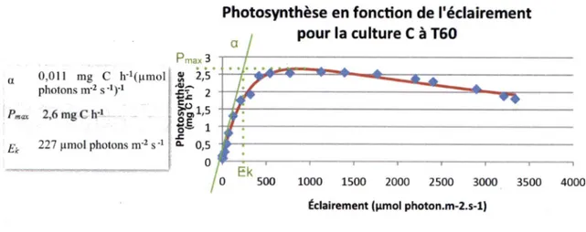 Figure 12  :  Exemple d'analyse de courbe de photosynthèse versus éclairement  (P vs E)