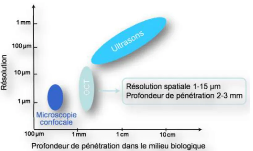 Figure 1.11: Résolution et profondeur de pénétration comparatives des ultrasons, de la microscopie confocale et de la tomographie par cohérence optique [Sacchet, 2010]