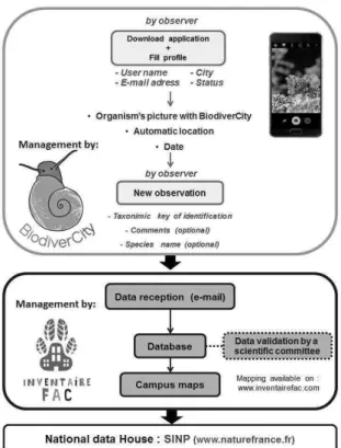 Fig 1: Example of the path of data followed by an observation             with the BiodiverCity application 