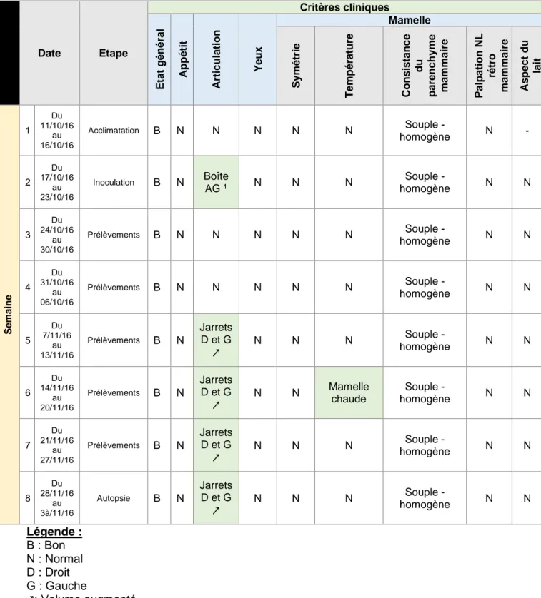 Tableau 3 - Résultats cliniques de la brebis A 