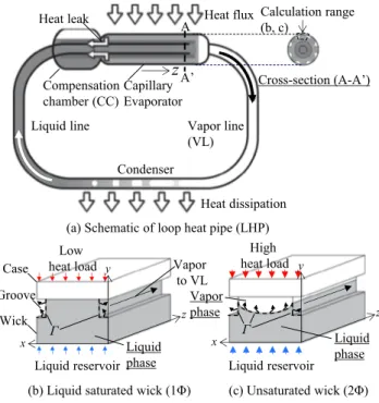 Fig. 1. Behavior of phase distribution in LHP wick. C is evaporation interface. Capillary pressure is developed at C .