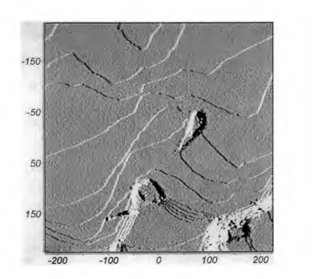 Figure 2.2. : Structure des plaques d' Au (111) analysées par STM (500 nm / 500 nm). 