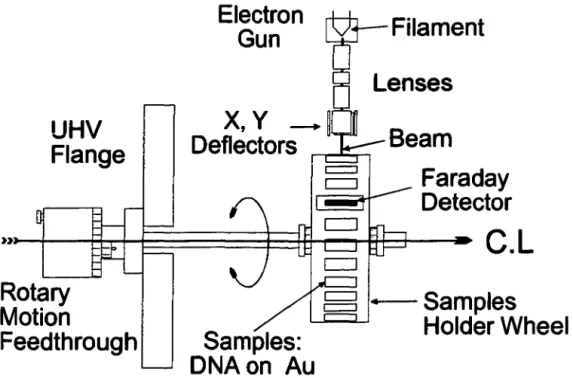 Figure 1: View of rotatable sample holder and low energy electron gun. 