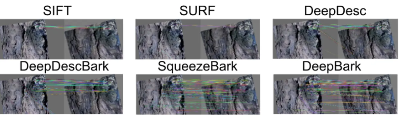 Figure 0.3: Qualitative matching performance of different descriptors, for two images of the same bark surface