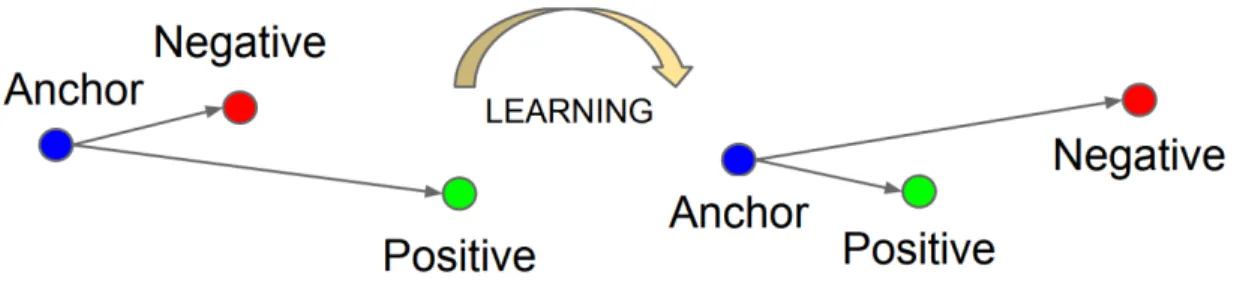 Figure 1.8: This figure shows the result after learning the representation with the triplet loss