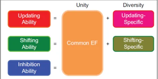 Figure 1.  Représentation schématique d’un nouveau modèle de l’organisation cognitive des FE  selon Friedman et al