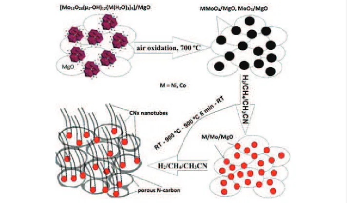 Figure 1:  Schematic representation of nitrogen-doped porous carbon–carbon nanotube hybrid formation with the use of Ni or Co polyoxomolybdate clusters.