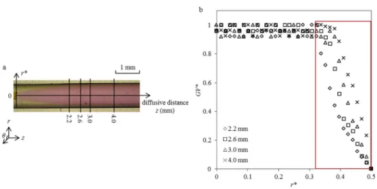 Fig. 4 Experiments related to the measurement of the diffusion coefficient of dihydroresorufin  