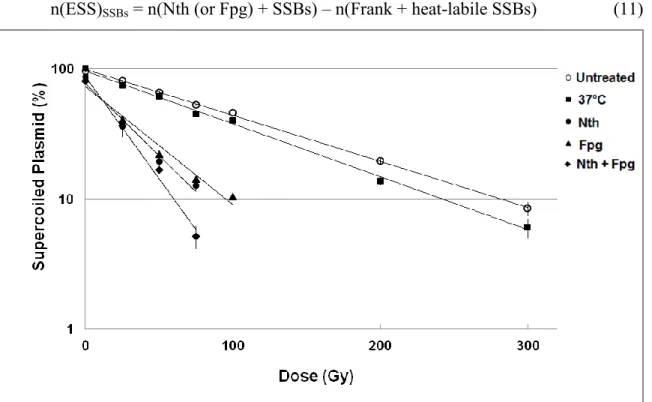 FIG.  2.  Loss  of  supercoiled  pGEM-3Zf(–)  DNA  (10  ng/μl)  versus  dose  for  DNA  irradiated in the presence of phosphate buffer (10 mM) with γ rays