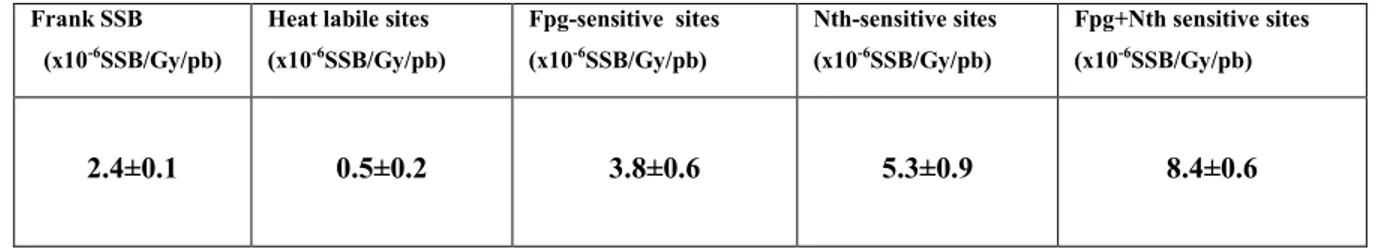TABLE  1:  Yields  of  SSB  Induced  in  pGEM-3-Zf  (–)  Plasmid  DNA  by  Gamma  Irradiation Followed by Incubation with Nth and Fpg (Yields of SSB/Gy/bp)