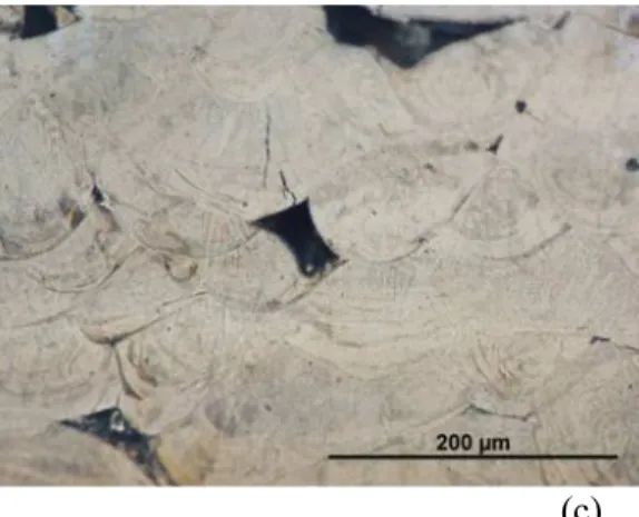 Figure  10:  Optical  micrograph  of  electrolytically  etched  surface  of  IN-738  LC  (a) 