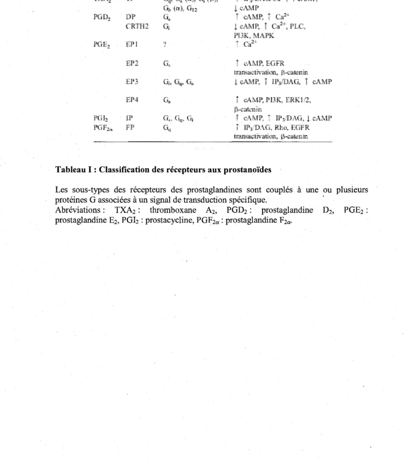 Tableau I :  Classification des recepteurs aux prostanoi'des 