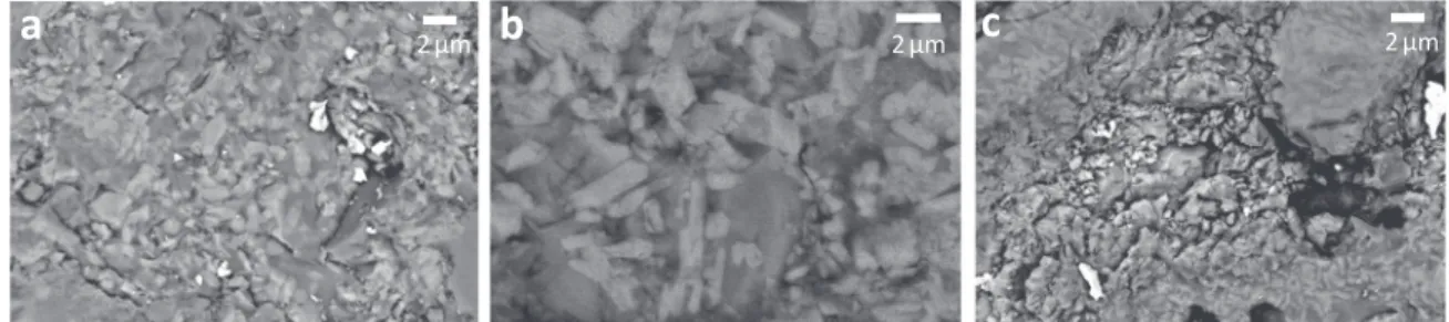 Fig. 8. Results of the CTE measurements from 200 to 550 °C after glass processing, sealing and ageing treatments.