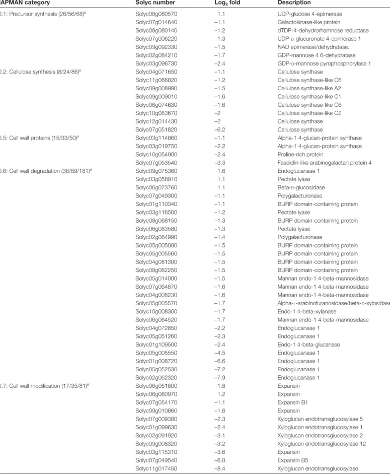 Table 1.  List of cell wall-related genes differentially expressed in Sl-AGL11OE fruit