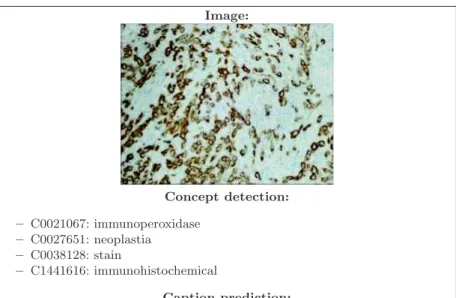 Fig. 1: Example of an image and the information provided in the training set.