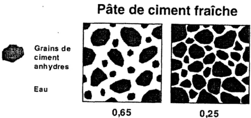 Fig. 3.10: Influence du rapport E/C sur l'ecartement des grains de ciment [Aiftcin,  2000] 