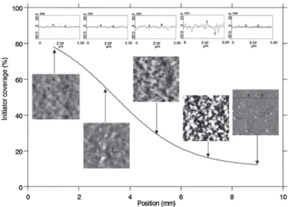 Fig. 6. Relationship of PNIPAM film morphology to local grafting density as tracked through the initiator density