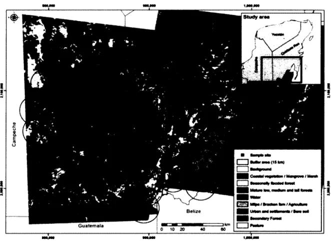 Figure  1  Spatial  distribution  of the  18  sampling  points  surveyed  in  the  Calakmul  region,  in  Southern Yucatan Peninsula in 2010-2011.