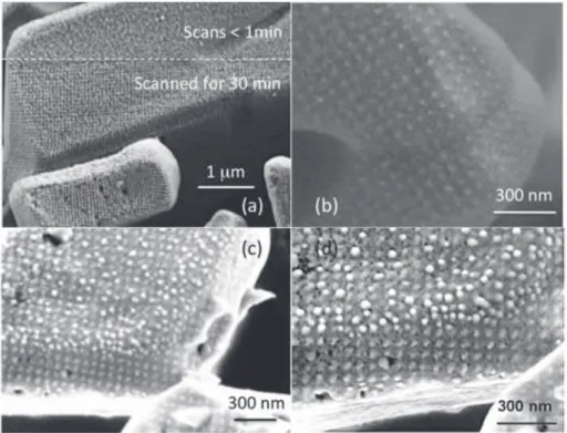 Fig. 1. Silver oxalate particles observed by scanning microscopy. (a): The lower part of the sample in image (a) was originally scanned for 30 min by a 300 pA and 3 kV electron beam