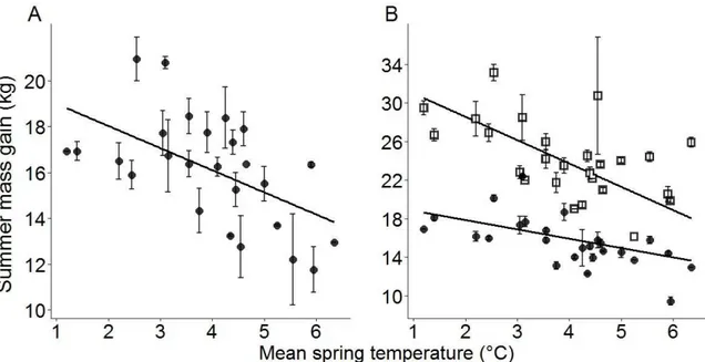 Figure 2.2 Effects of mean spring temperature on the summer mass gain of bighorn sheep  in Alberta