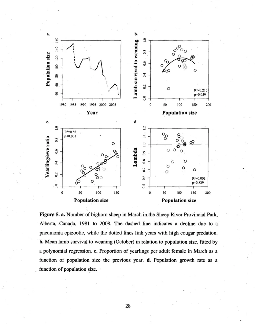 Figure 5. a. Number of bighorn sheep in March in the Sheep River Provincial Park,  Alberta, Canada, 1981 to 2008