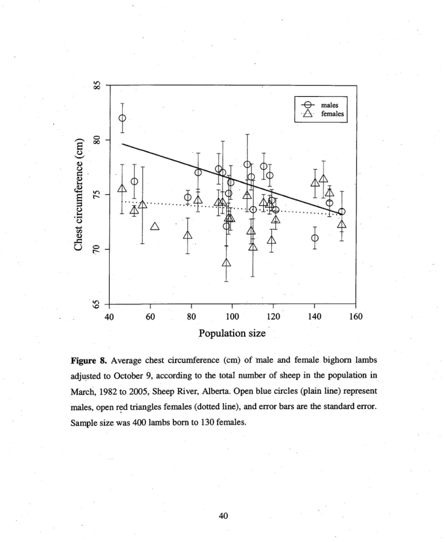 Figure 8. Average chest circumference (cm) of male and female bighorn lambs  adjusted to October 9, according to the total number of sheep in the population in  March, 1982 to 2005, Sheep River, Alberta