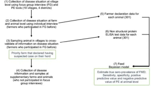 Table 1: Sero-prevalence status classification per district, village and farm level  Distribution of   Results of ELISA NSP 3ABC  Total samples 