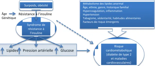 Figure 1.6 : Facteurs de risque qui contribuent au risque cardiométabolique.  Note : Adapté de Leiter et coll., 2011