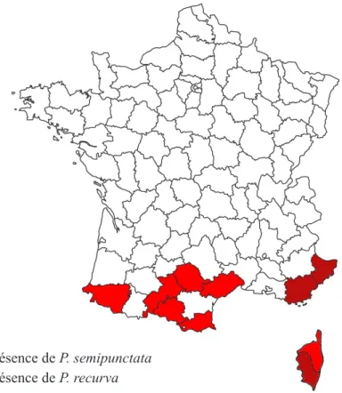 Fig. 2 - Carte de distribution française du genre Phoracantha Newman, 1840.zone de présence de P