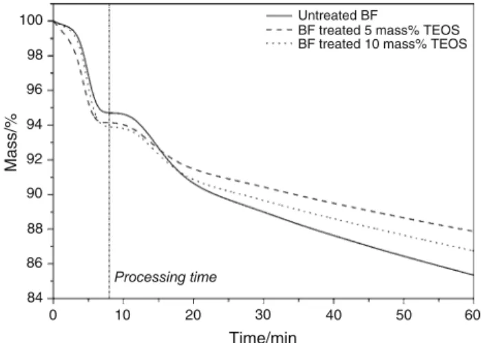 Fig. 1 Evolution of the mass of untreated BF, treated with 5 mass% of TEOS and treated with 10 mass%, at 200 °C for 60 min