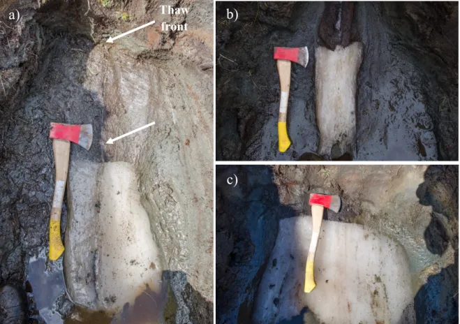 Figure 1.4. Photographs of ice wedges on D2 (a) and D9 (b, c). The arrows show ice veins connecting  the ice wedges to the thaw front