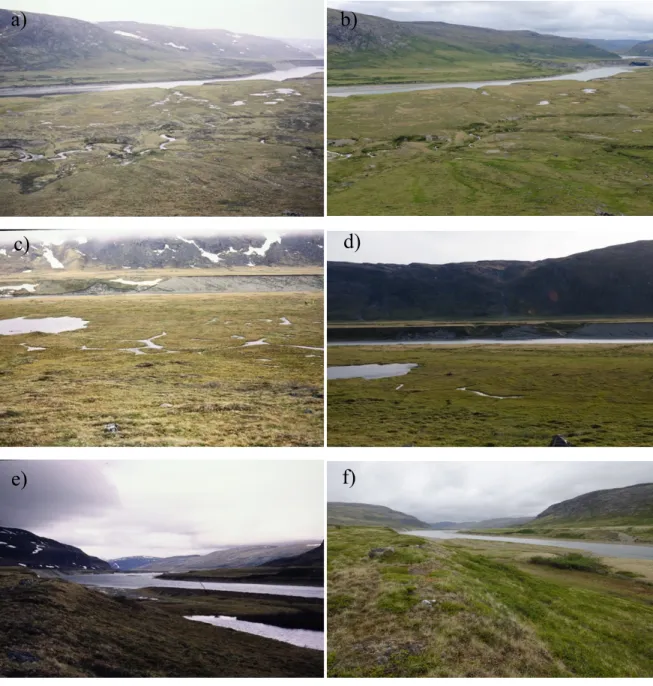 Figure 1.6. Photographs taken in 1991 (left) and in 2017 (right) of the sites G2 and G3 (a, b), D5  (c, d) and of a drained lake near G8 (e, f)