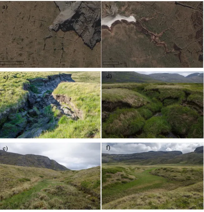 Figure 1.7. Erosion gullies initiated by ice-wedge degradation. a) and b) are satellite images of erosion  gullies carving into the terraces of D4 and near D7, respectively