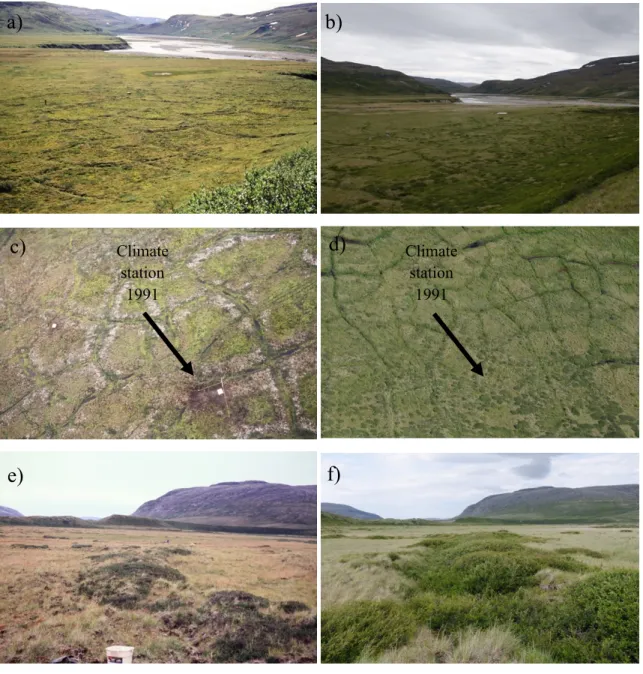 Figure 1.8. Photographs taken in 1990 (left) and in 2017 (right) of the sites D1 (a, b, c, d) and D9  (e, f)