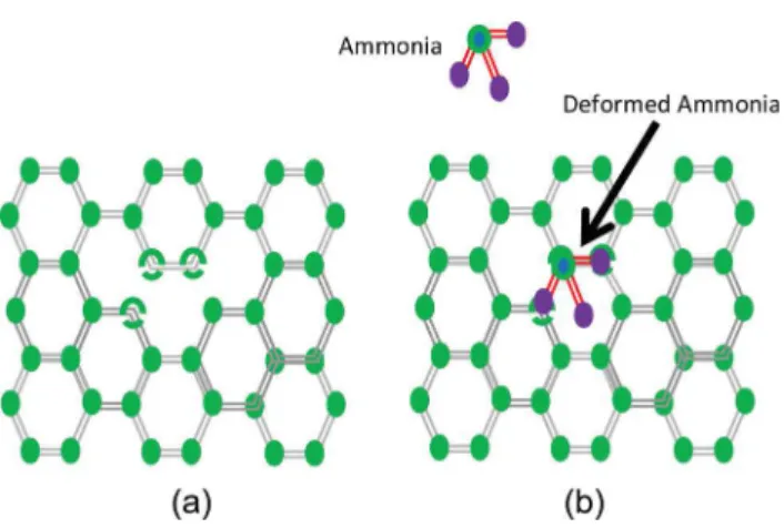 Figure 6 (a) Schematic view of a defective CNT wall (b) ammonia molecule being attached on the defect site and because of the large bond angles of the C–C– wall the ammonia molecule is strained.