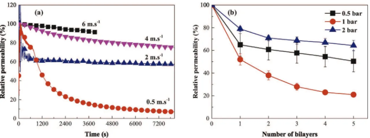 Fig. 1. (a) Time dependent variation of permeability with reference to initial water permeability during coating of the ﬁrst PAH layer under diﬀerent cross ﬂow speeds; (b) Eﬀect of coating pressure and coating steps on membrane permeability